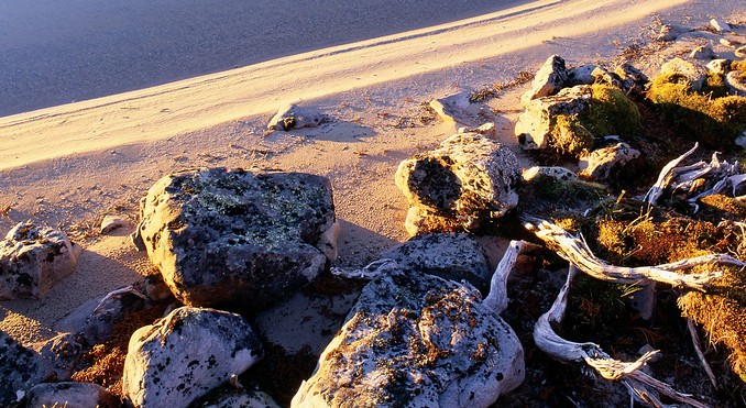 Image courtesy of Tourism Tasmania