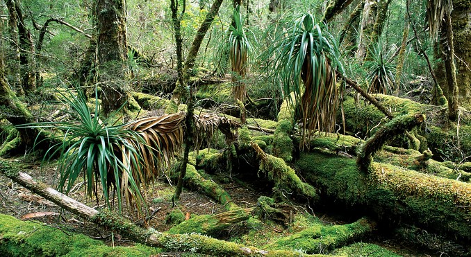 Cradle Mountain