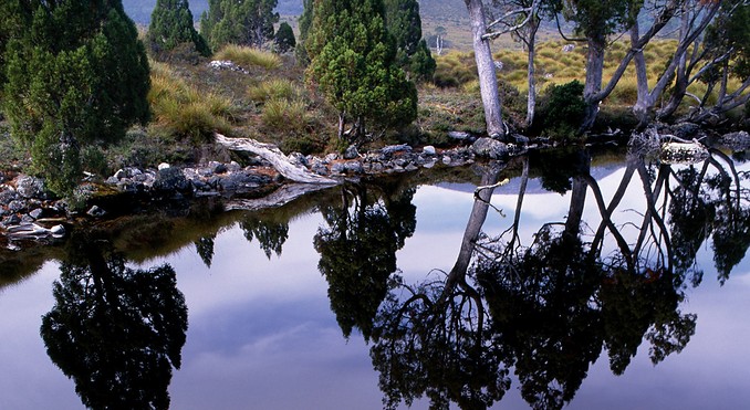 Image courtesy of Tourism Tasmania