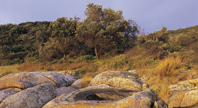 Image courtesy of Tourism Victoria
