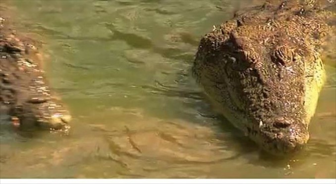 Image courtesy of Tourism NT