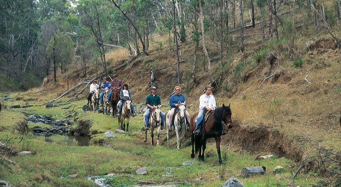 Image courtesy of Tourism Queensland