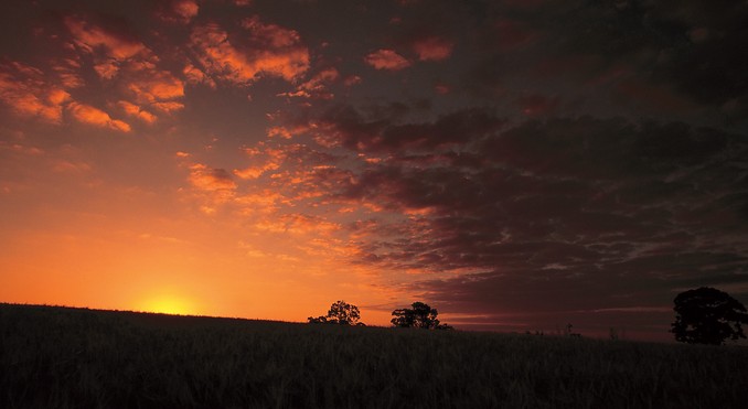 Image courtesy of Tourism Queensland