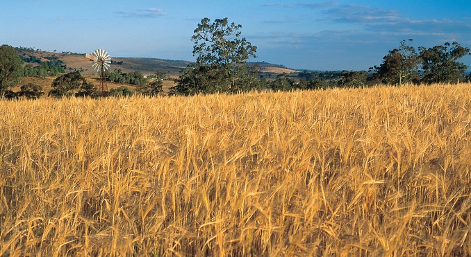 Image courtesy of Tourism Queensland