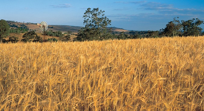 Image courtesy of Tourism Queensland