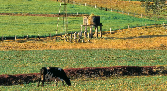 Image courtesy of Tourism Queensland