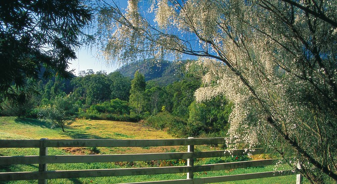 Image courtesy of Tourism Queensland