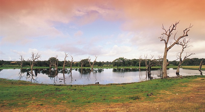 Image courtesy of South Australia