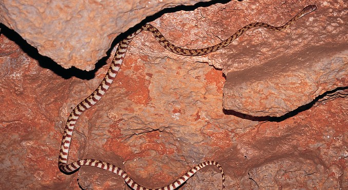 Image courtesy of Tourism NT
