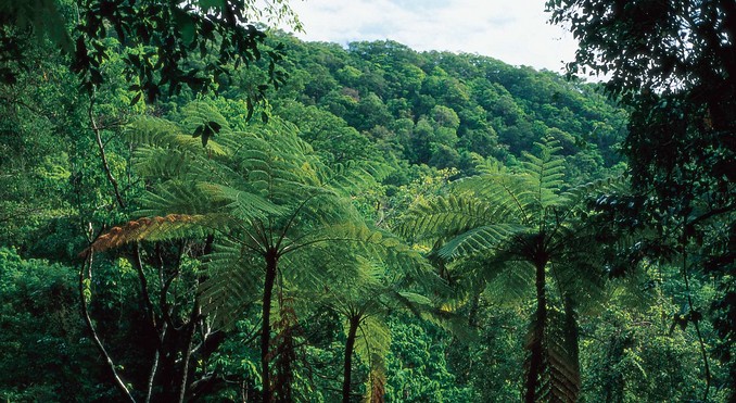 Image courtesy of Tourism Queensland