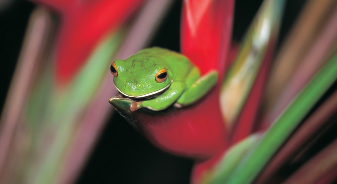 Image courtesy of Tourism Queensland