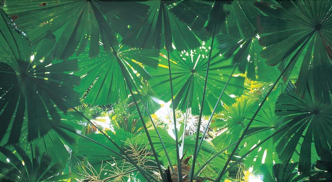 Image courtesy of Tourism Queensland