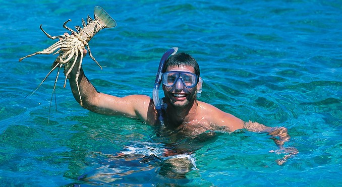 Image courtesy of Western Australia