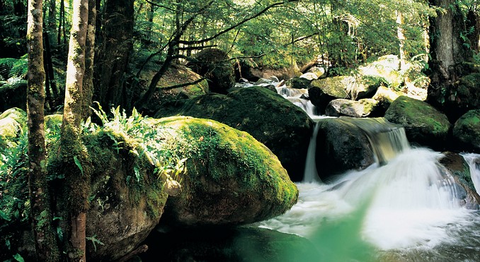 Image courtesy of Tourism Victoria