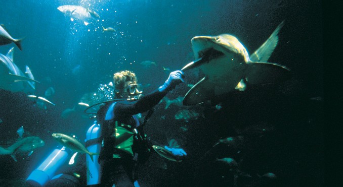 Image courtesy of Tourism New South Wales