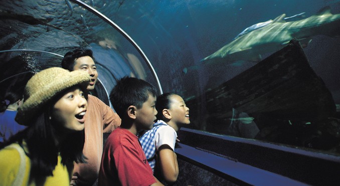 Image courtesy of Tourism New South Wales