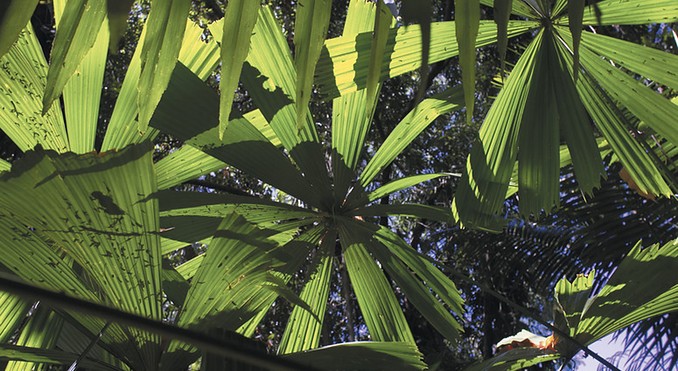 Image courtesy of Tourism NT