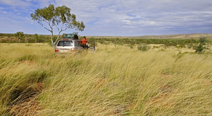 Davenport Range National Park