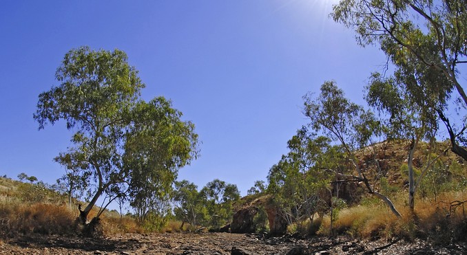 Image courtesy of Tourism NT