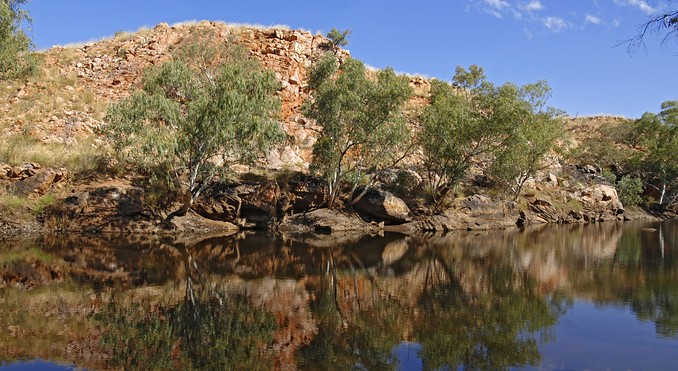 Davenport Range National Park