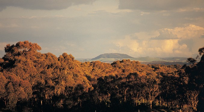 Image courtesy of Tourism Victoria