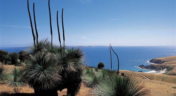 Image courtesy of South Australia