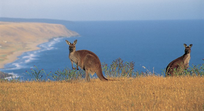 Image courtesy of South Australia