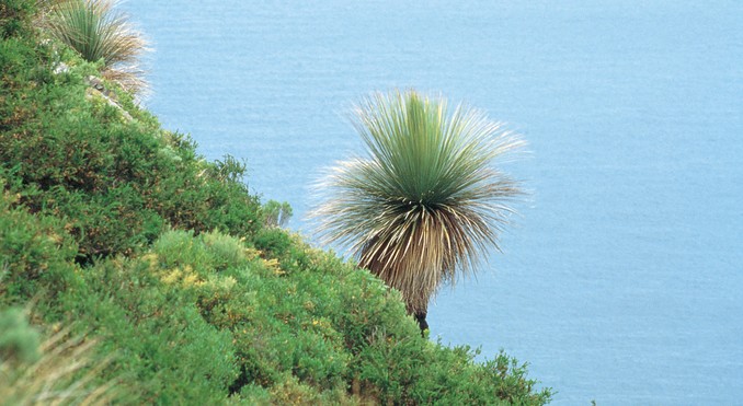 Image courtesy of South Australia