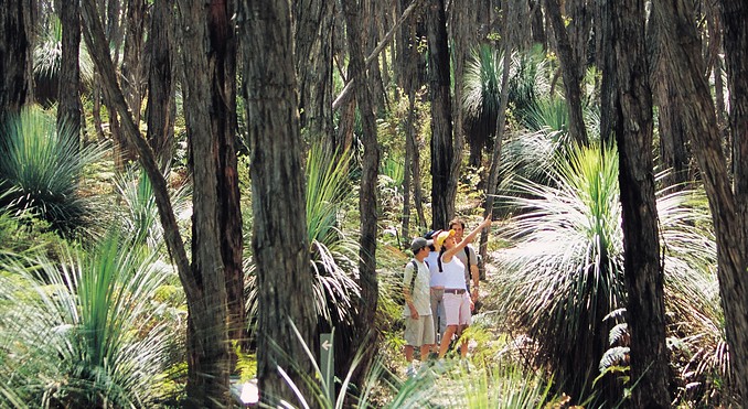Deep Creek Conservation Park