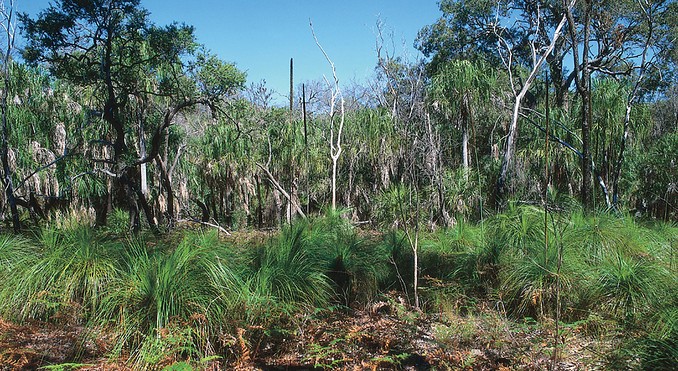 Image courtesy of Tourism Queensland