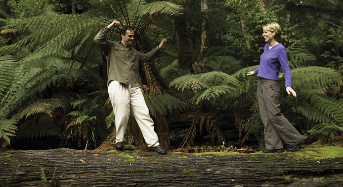 Tourism Tasmania and Geoffrey Lea