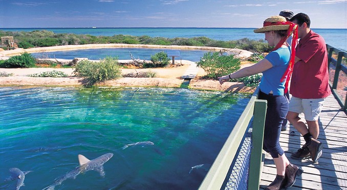 Image courtesy of Western Australia