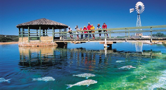 Image courtesy of Western Australia