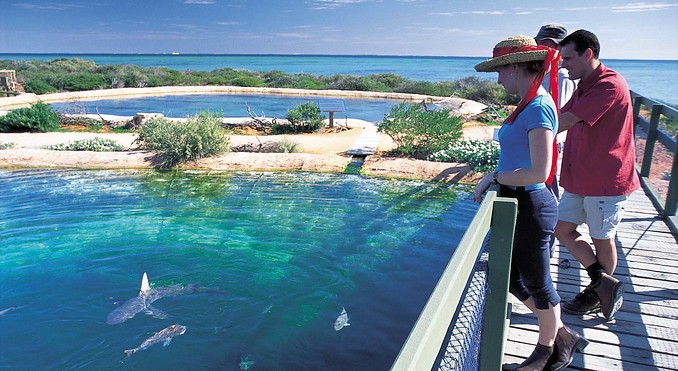 Image courtesy of Western Australia