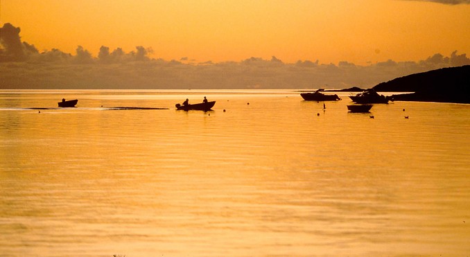 Image courtesy of Western Australia