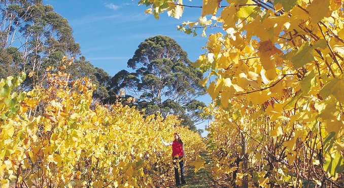 Image courtesy of Western Australia