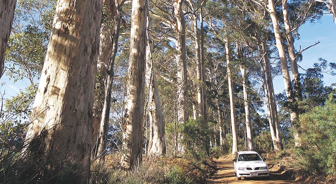 Image courtesy of Western Australia