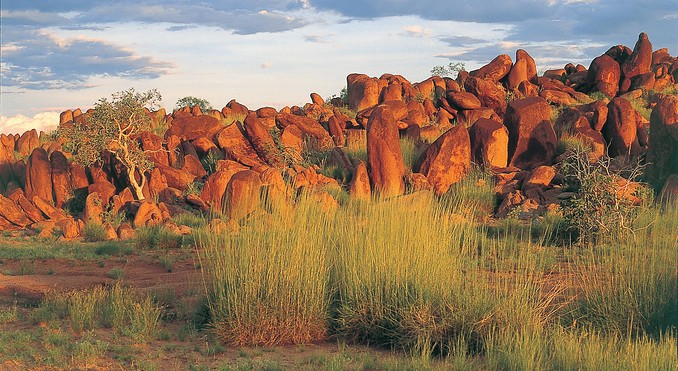 Image courtesy of Tourism NT