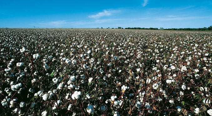 Image courtesy of Tourism Queensland
