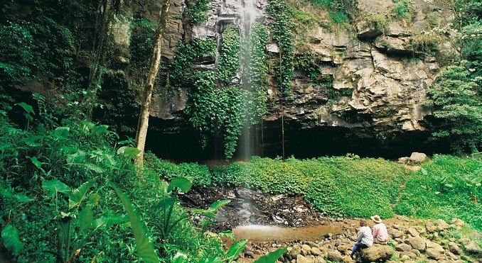 Image courtesy of Tourism New South Wales