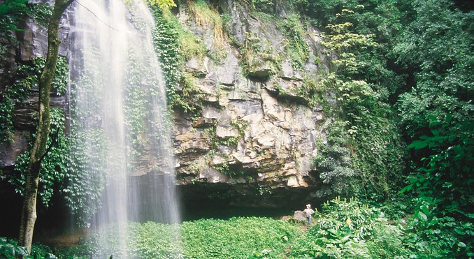 Image courtesy of Tourism New South Wales
