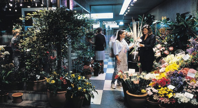 Image courtesy of Tourism New South Wales