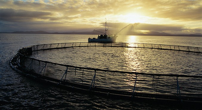 Image courtesy of Tourism Tasmania