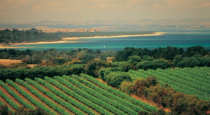 Image courtesy of Tourism Victoria