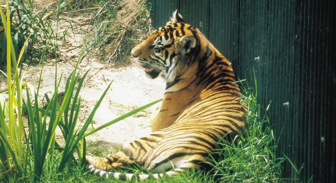 Image courtesy of Tourism New South Wales