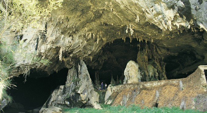 Image courtesy of Tourism New South Wales