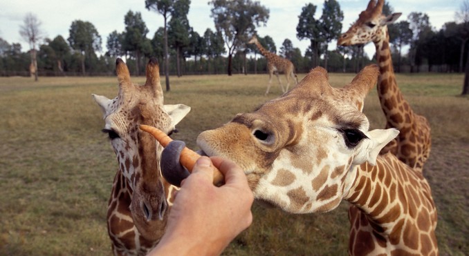 Image courtesy of Tourism New South Wales