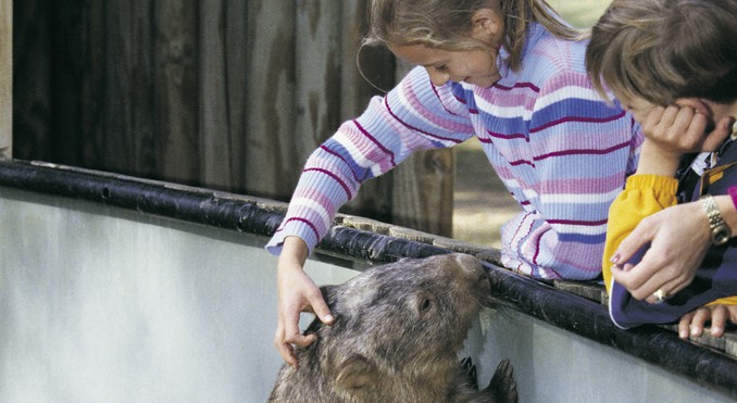 Image courtesy of Tourism New South Wales