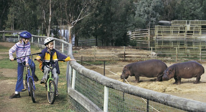 Image courtesy of Tourism New South Wales