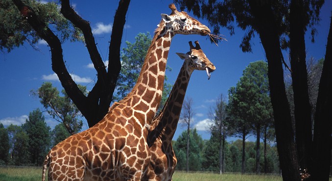 Image courtesy of Tourism New South Wales